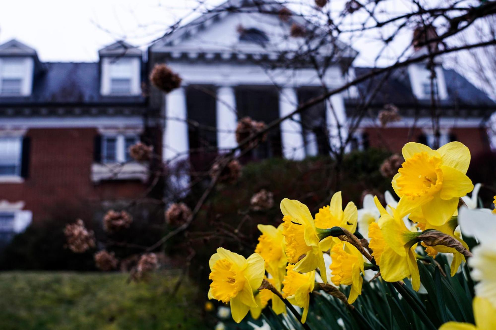 Mercersburg Inn Экстерьер фото